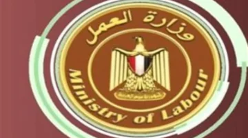 أحدث نشرة توظيف حكومية تطرح فرصًا متنوعة تشمل وظائف إدارية وعمالية متنوعة